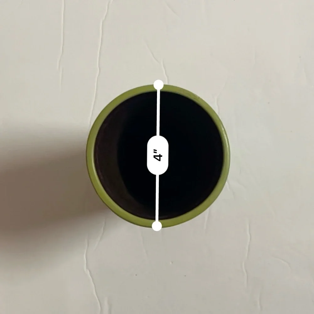 Green Cup for Toothbrush and Toothpaste 7 inches